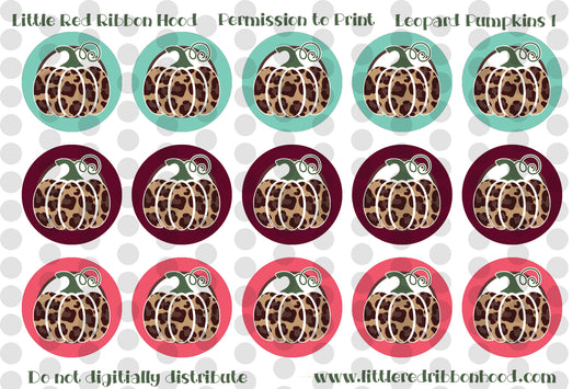 Bottle Cap Images Leopard Pumpkins