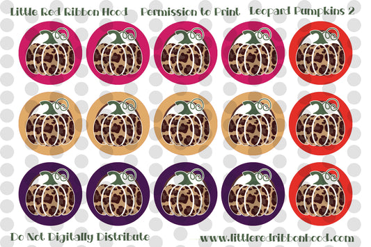 Bottle Cap Images Leopard Pumpkins