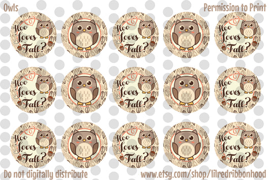 Bottle Cap Images Hoo Loves Fall