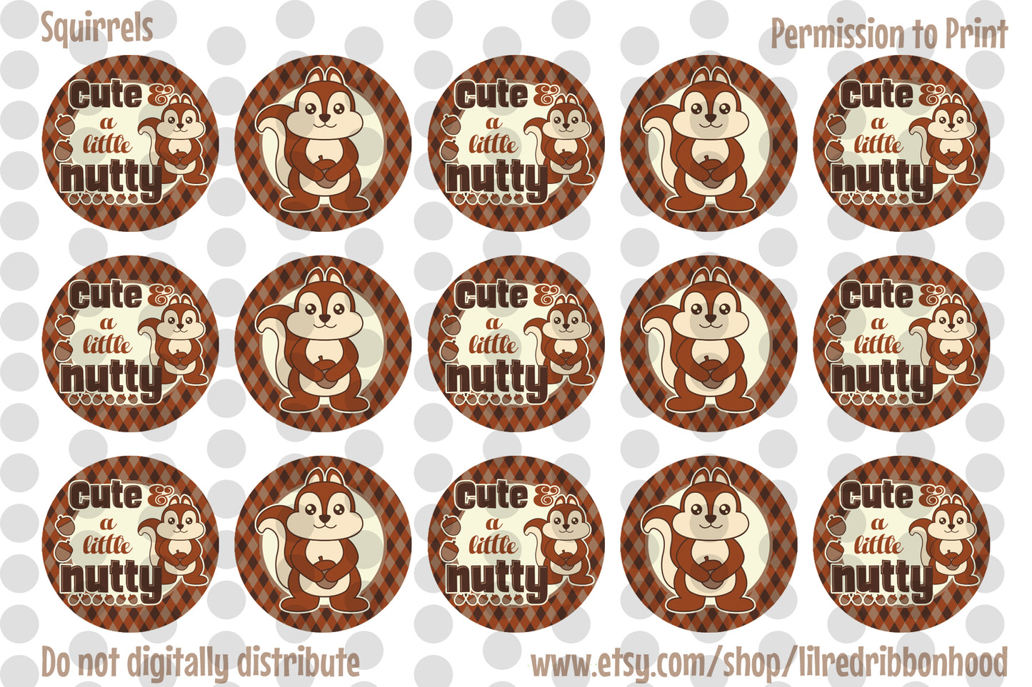 Bottle Cap Images Squirrels