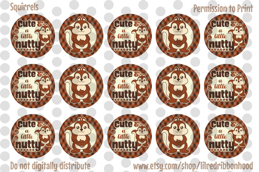 Bottle Cap Images Squirrels